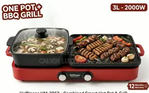 Electric Pot and Grill 2 in 1