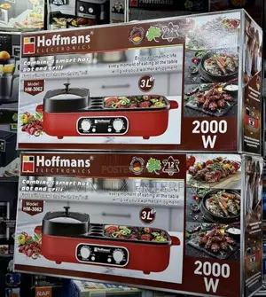 Electric Pot and Grill 2 in 1