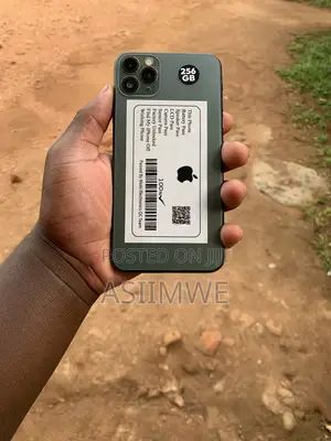 Apple iPhone 11 Pro Max 256 GB Gray