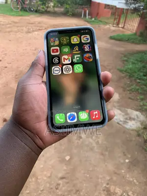 Apple iPhone 11 Pro Max 256 GB Gray