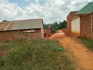 30 by 50 Ft Plots/Land