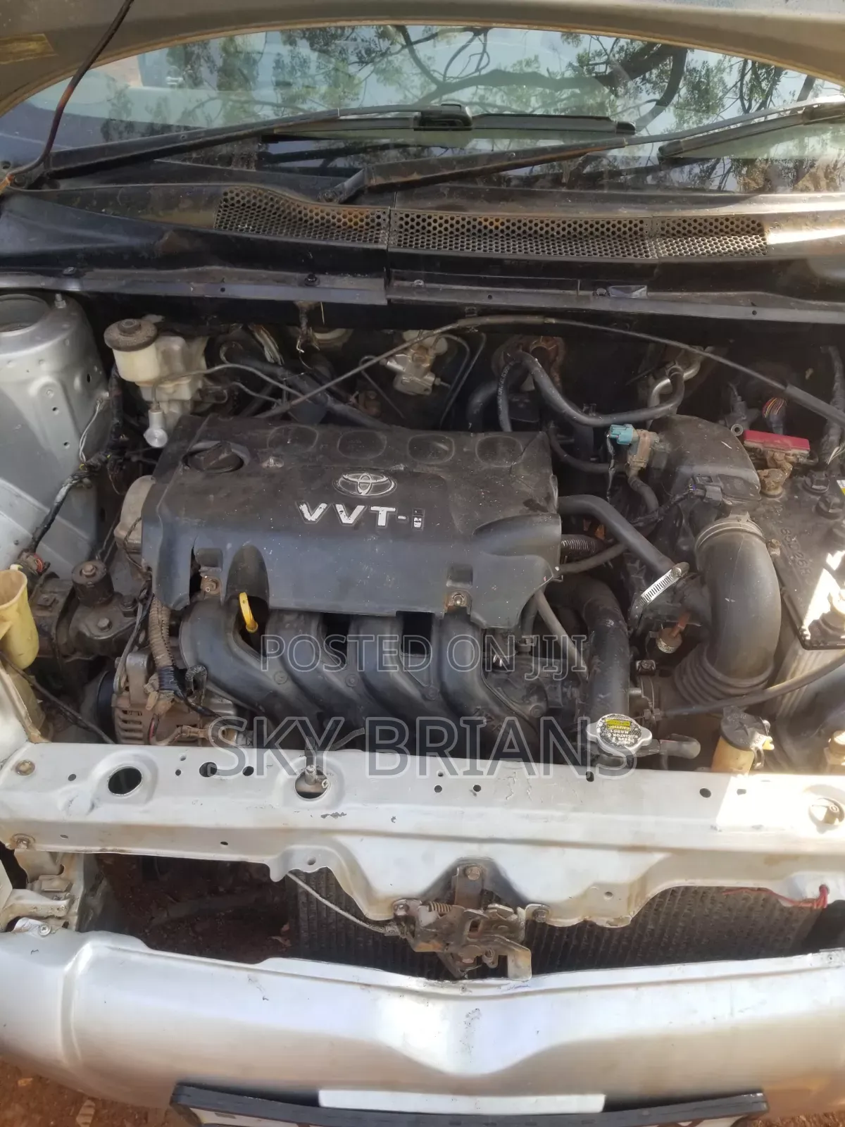 Toyota Vitz 2003 Silver