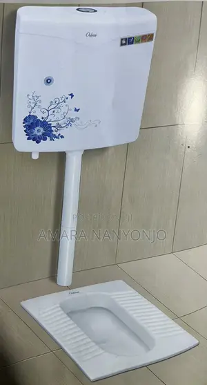 Squatting Pan Toilet/ Flushing Cistern
