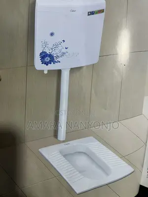 Squatting Pan Toilet/ Flushing Cistern
