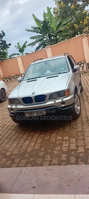 BMW X5 3.0 2001 Gray
