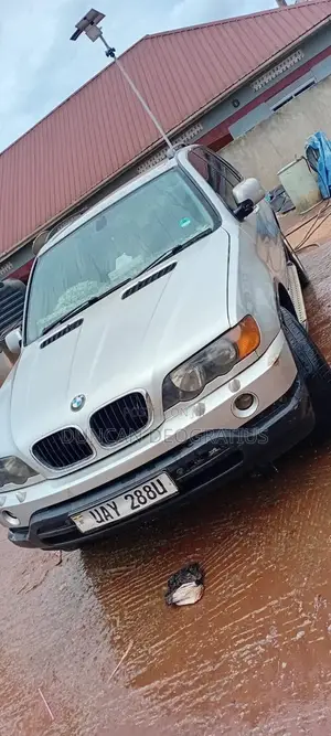 BMW X5 3.0 2001 Gray