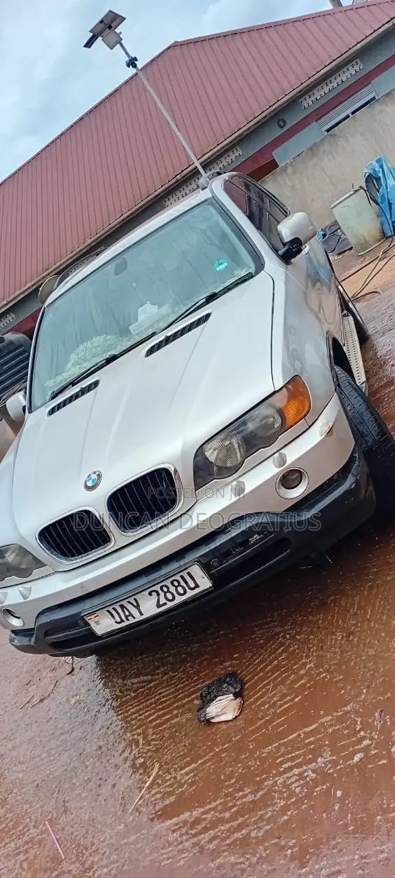 BMW X5 3.0 2001 Gray