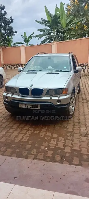 BMW X5 3.0 2001 Gray