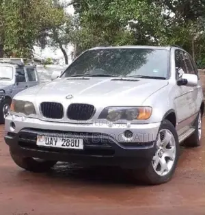 BMW X5 3.0 2001 Gray