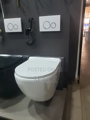 Concealed Toilet