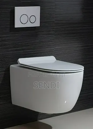 Concealed Toilet
