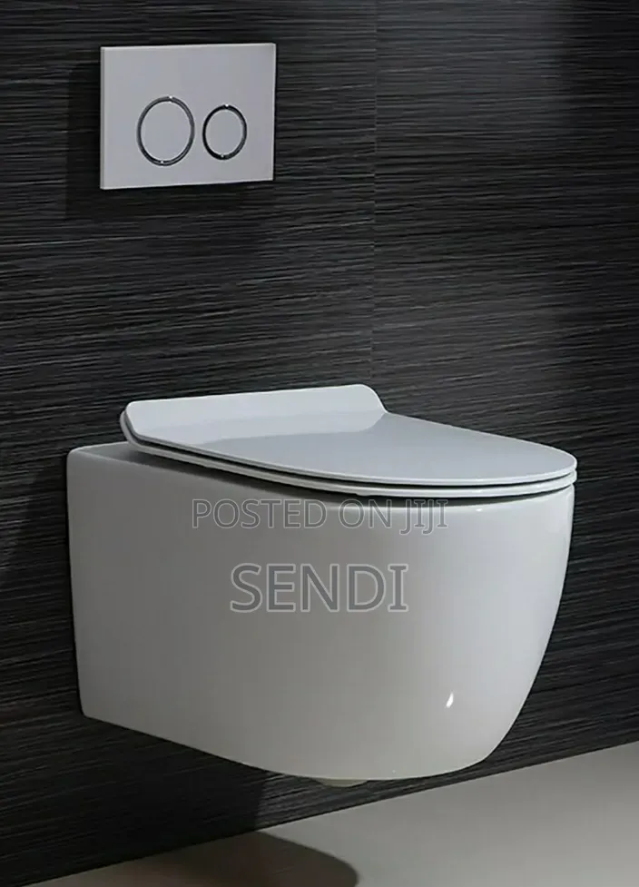 Concealed Toilet