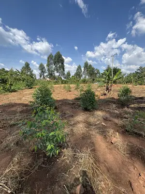 50by50ft and 50by100ft Plots at Nakifuma-Magogo 4kms Off the Main Rd