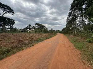 50by50ft and 50by100ft Plots at Nakifuma-Magogo 4kms Off the Main Rd