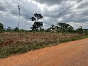 50by50ft and 50by100ft Plots at Nakifuma-Magogo 4kms Off the Main Rd