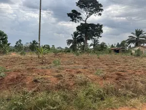 50by50ft and 50by100ft Plots at Nakifuma-Magogo 4kms Off the Main Rd