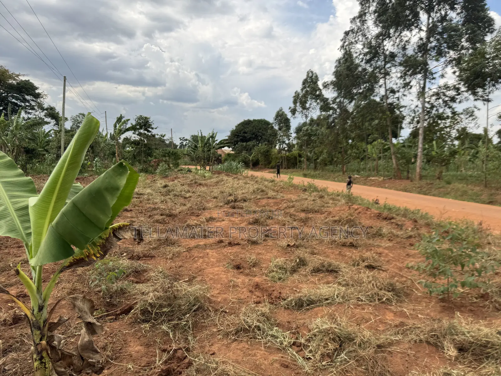 50by50ft and 50by100ft Plots at Nakifuma-Magogo 4kms Off the Main Rd
