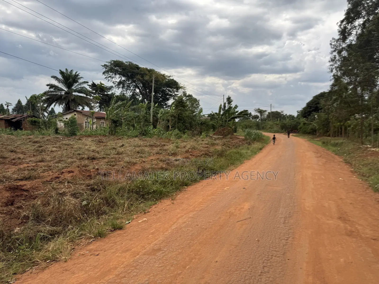 50by50ft and 50by100ft Plots at Nakifuma-Magogo 4kms Off the Main Rd