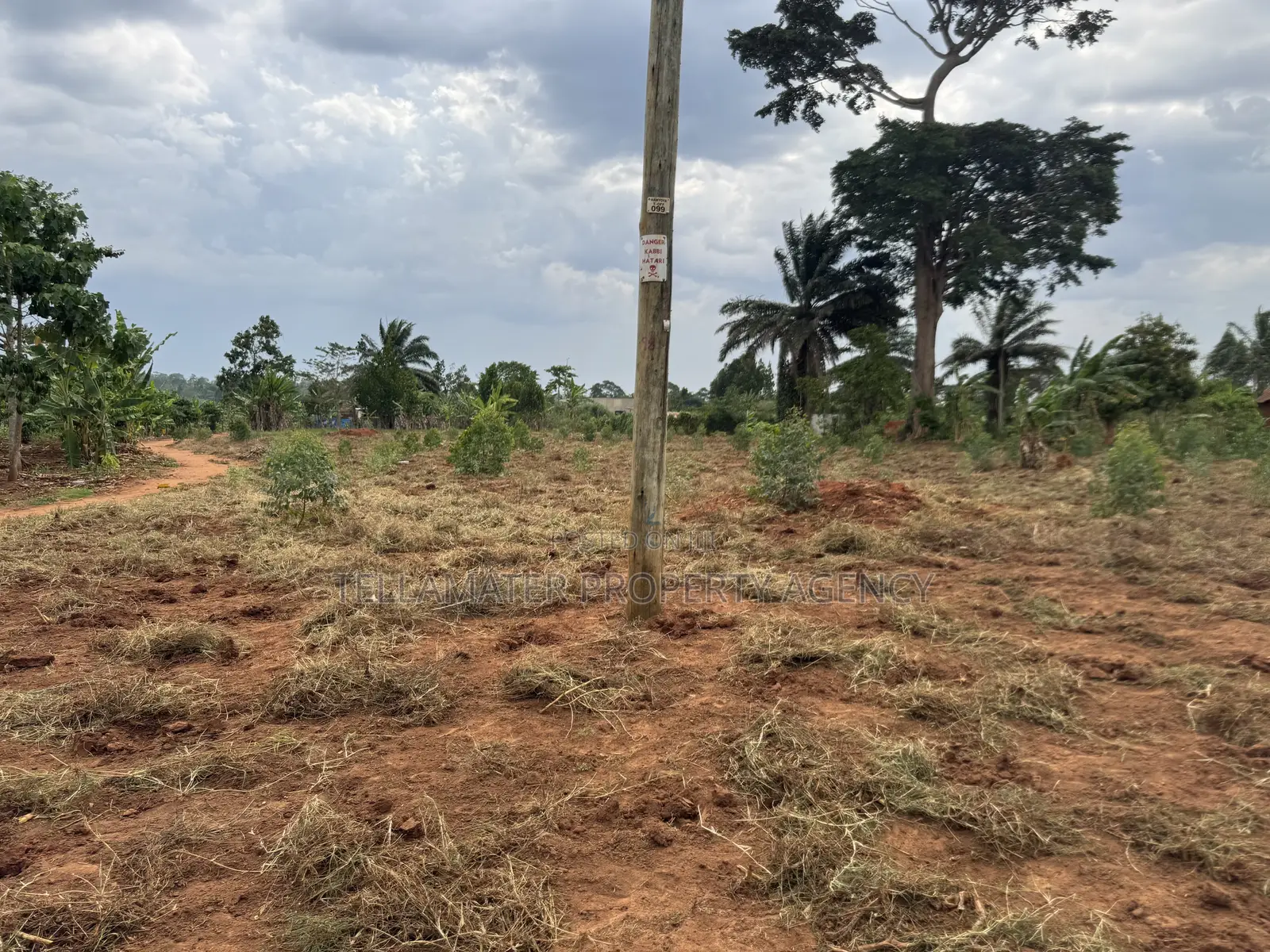 50by50ft and 50by100ft Plots at Nakifuma-Magogo 4kms Off the Main Rd
