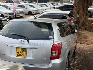 Toyota Corolla Fielder 2009 Silver