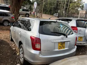 Toyota Corolla Fielder 2009 Silver