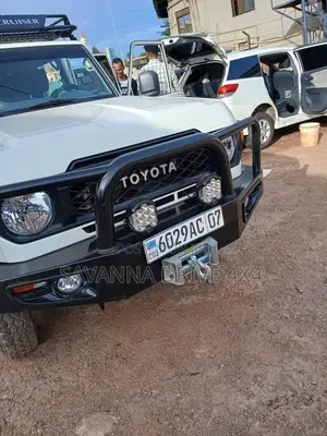 Land Cruiser FJ79 Front Guard