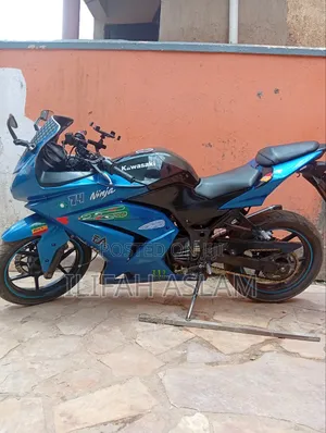 Kawasaki Ninja 300 2019 Blue