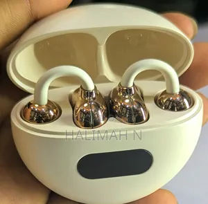 Classy Earbuds
