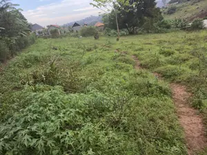 Two Prime Plots of Land for Sale in Wakiso Kikookiro