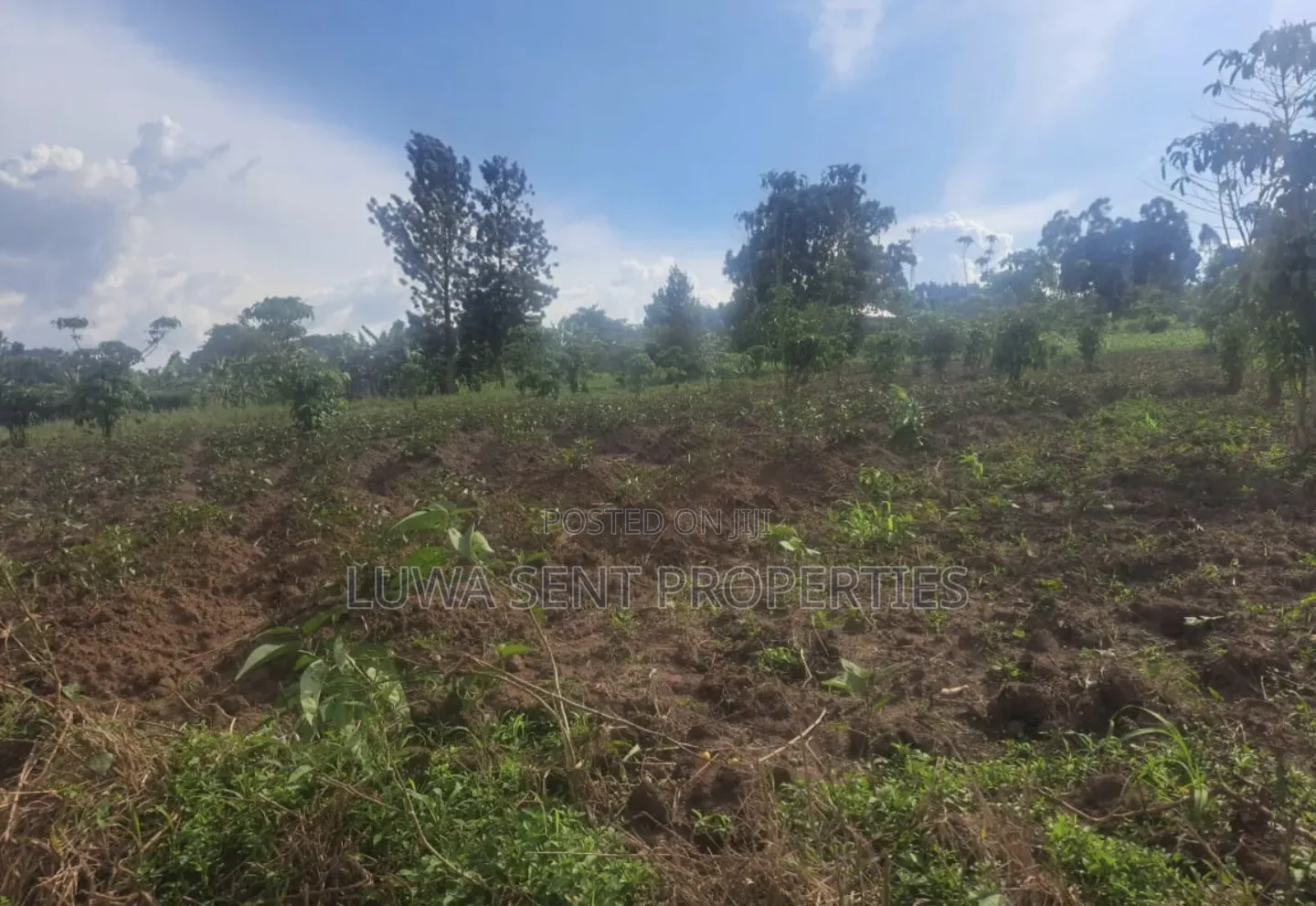 7Sq Miles Msilo Land for Sale NAKASONGOLA PRIVATE MAILO TITLE