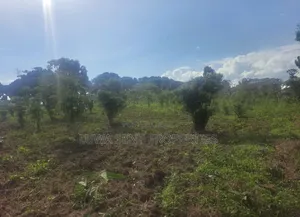7Sq Miles Msilo Land for Sale NAKASONGOLA PRIVATE MAILO TITLE
