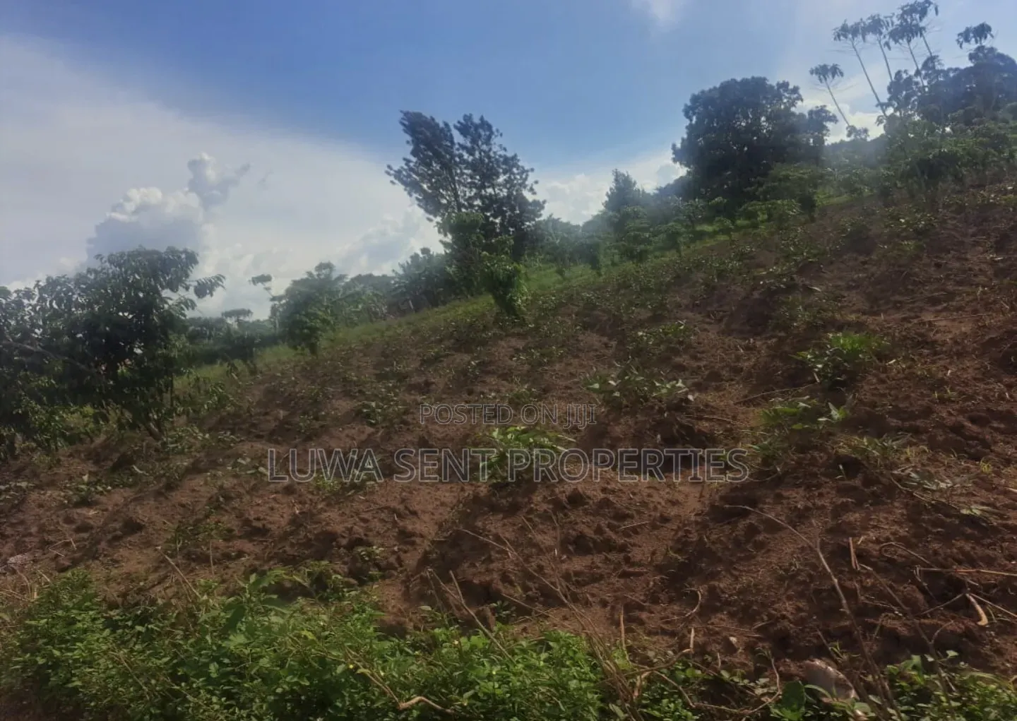 3 Sq Miles Kasangombe Nakaseke District Private Mailo Land Title
