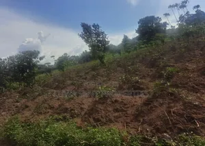 3 Sq Miles Kasangombe Nakaseke District Private Mailo Land Title