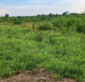 3 Acres Busunju Private Mailo Land Title