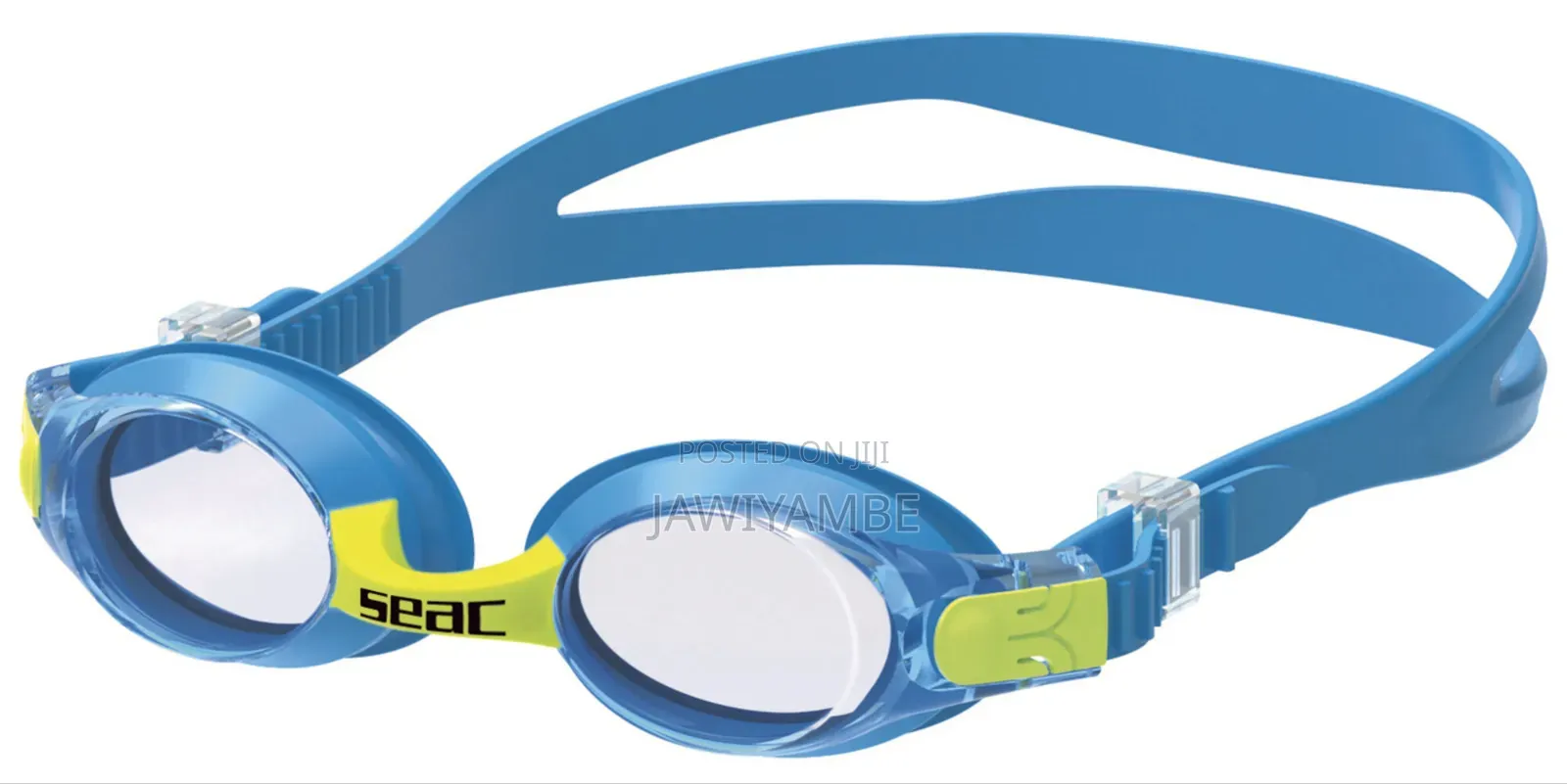 Swimming Gaggle