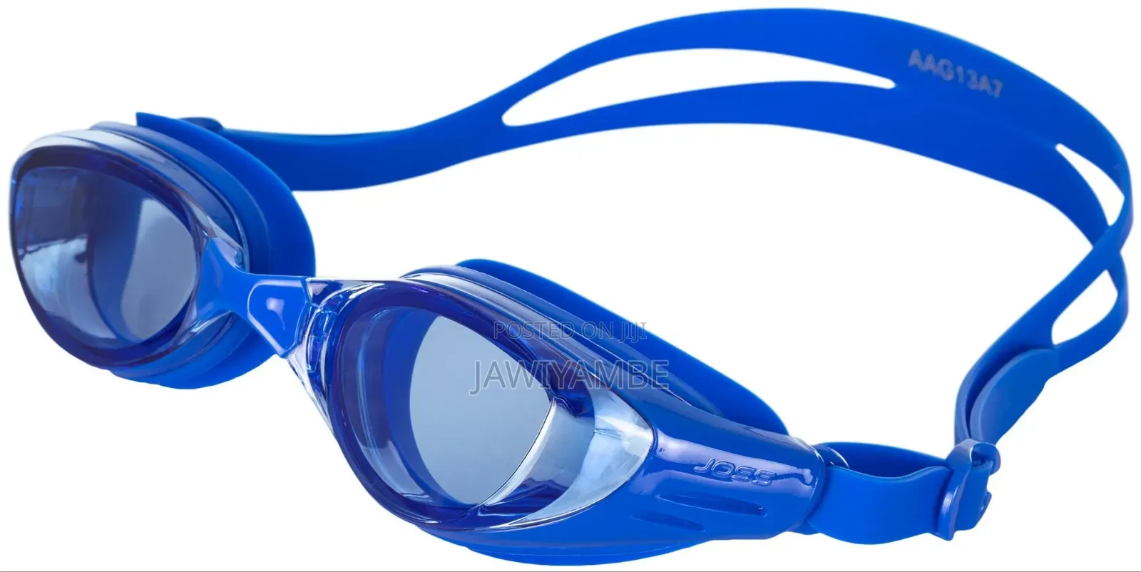 Swimming Gaggle