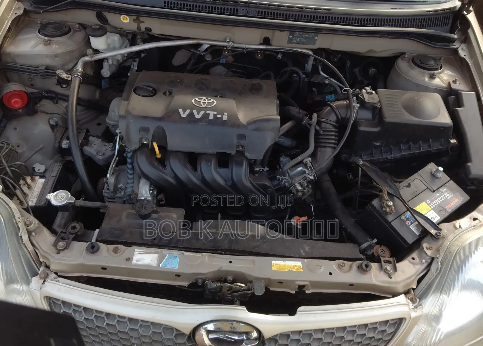 Toyota Allex 2005 Beige