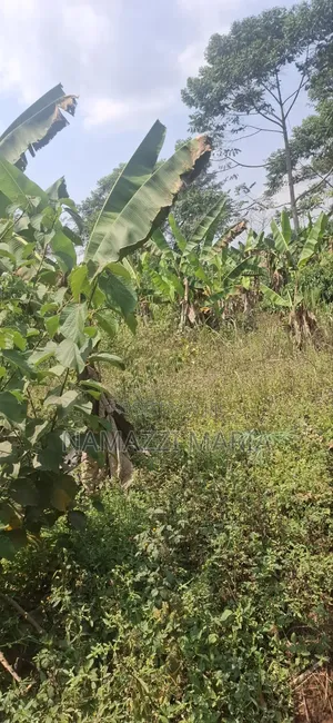 Plot for Sale