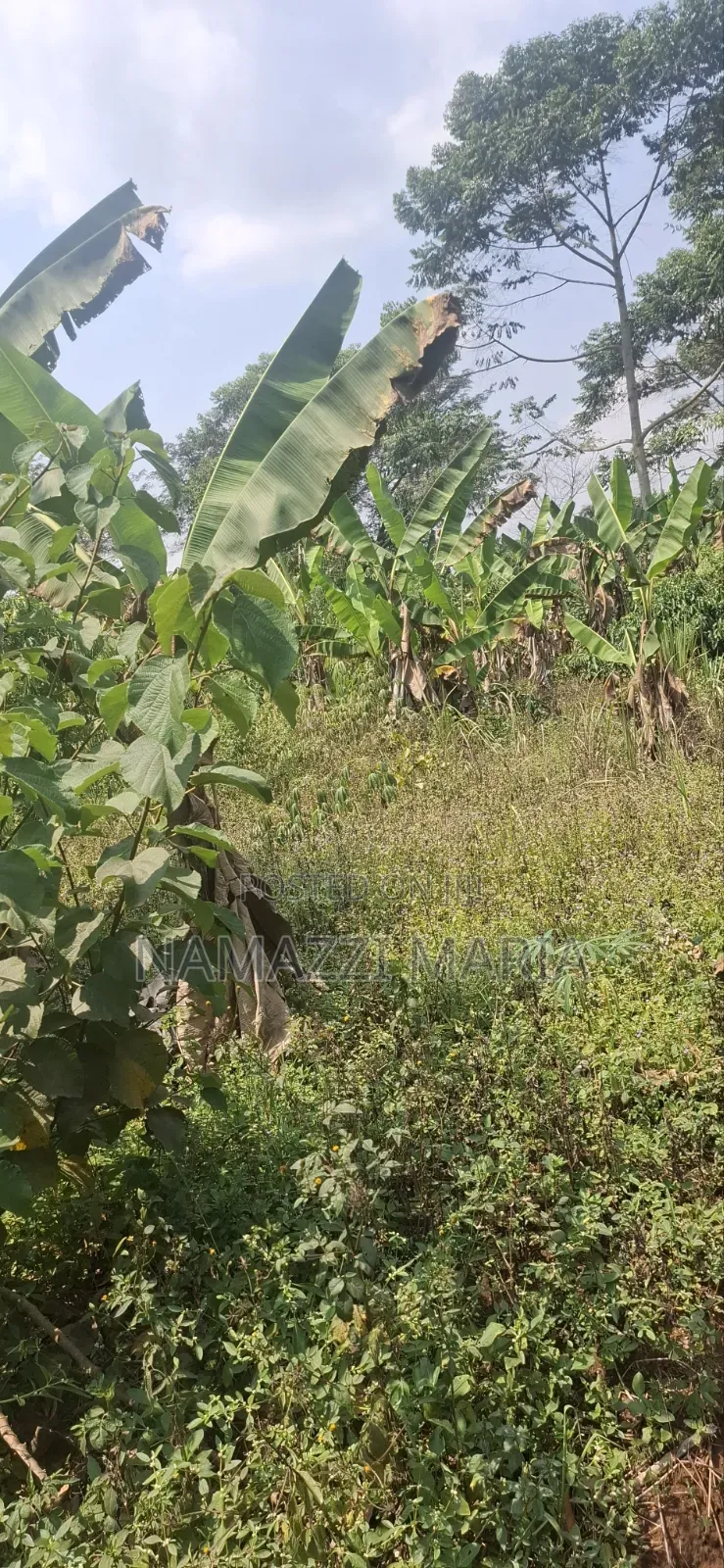Plot for Sale