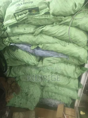 Assorted Nails All Inches 50kg