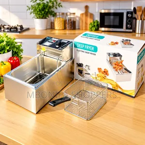 Stainless Steel Electric Deep Fryer With Frying Basket
