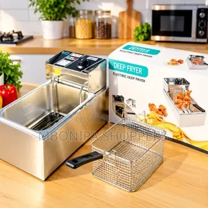 Stainless Steel Electric Deep Fryer With Frying Basket