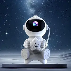 Projection Lamp