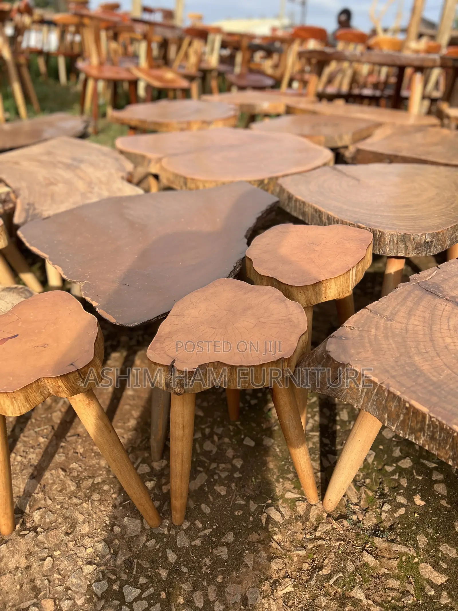 Organic Wood Slice Cofee Table-Muvule