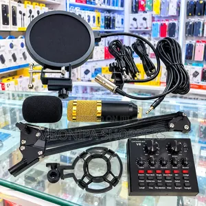 V8 Condenser Microphone & Professional Podcast Recording Kit