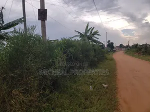 Commercial Plot 50ft by 100ft With Land Titles