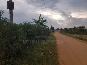 Commercial Plot 50ft by 100ft With Land Titles