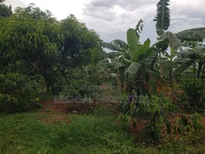 Commercial Plot 50ft by 100ft With Land Titles