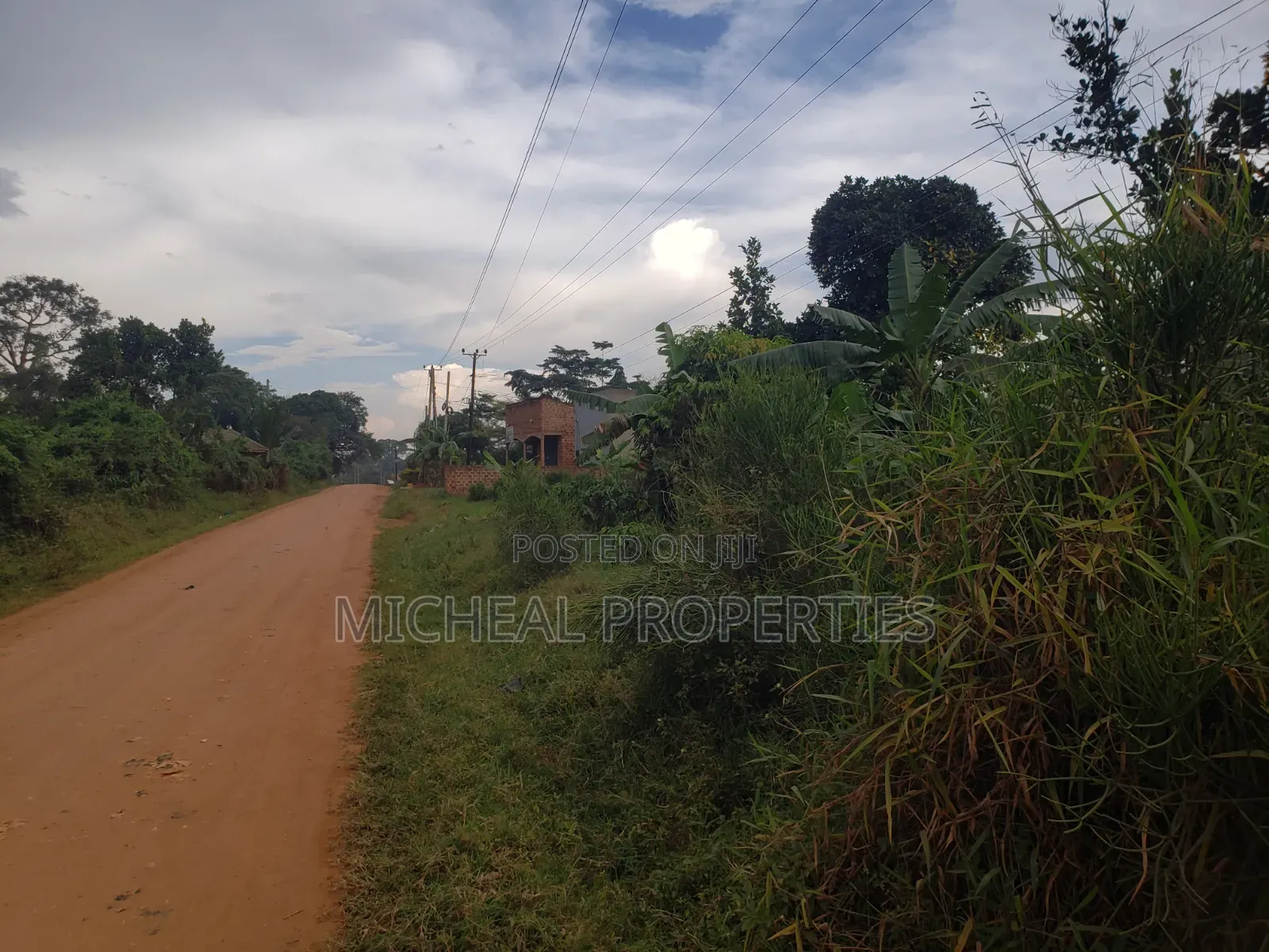 Commercial Plot 50ft by 100ft With Land Titles