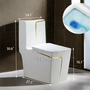 Setting Toilet